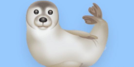 Imagem do grupo de WhatsApp Amigos secretos