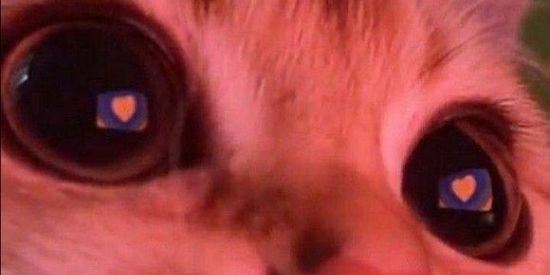 Imagem do grupo de WhatsApp Não sei o nome