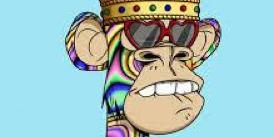 Imagem do grupo de WhatsApp NFTS