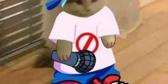 Imagem do grupo de WhatsApp FNF