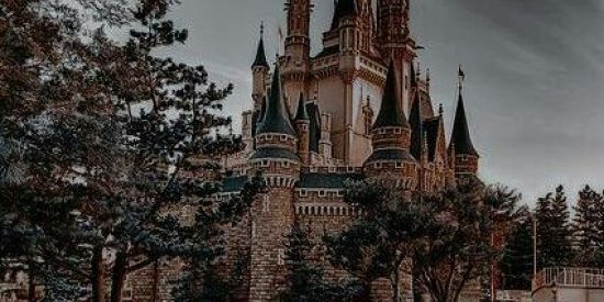 Imagem do grupo de WhatsApp \𝗥𝗽𝗴 𝗺𝗲𝗱𝗶𝗲𝘃𝗮𝗹/