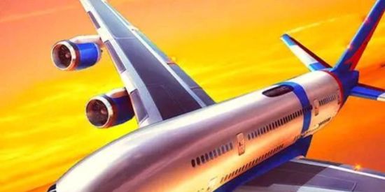 Imagem do grupo de WhatsApp flight  sim 2018