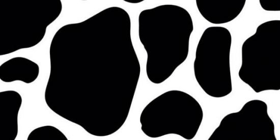 Imagem do grupo de WhatsApp Aᴍɪᴢᴀᴅᴇ ᴏᴜ ɴᴀᴍᴏʀᴏ?🤨