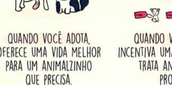Imagem do grupo de WhatsApp Adoção de animais de João Monlevade