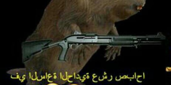 Imagem do grupo de WhatsApp ~Shitposter~