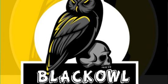 Imagem do grupo de WhatsApp rpz da blackowl