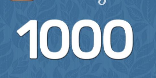 Imagem do grupo de WhatsApp SEGUIDORES INSTA🚀