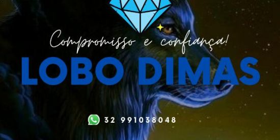 Imagem do grupo de WhatsApp LOBO DIMAS 💠 GRUPO 1