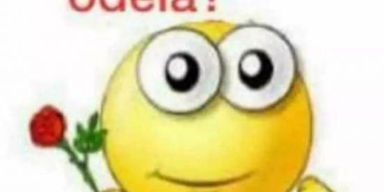 Imagem do grupo de WhatsApp grupo de meme✨+18