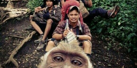 Imagem do grupo de WhatsApp Los mamacos