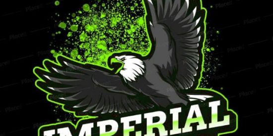 Imagem do grupo de WhatsApp RECRUTAMENTO OFICIAL IPS🦅🔥