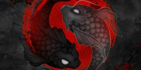 Imagem do grupo de WhatsApp 𝐗𝐙 𝐒𝐎𝐋𝐈𝐍𝐆𝐇𝐓 𝟏.𝟎