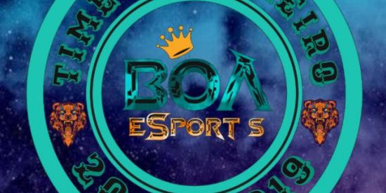 Imagem do grupo de WhatsApp 🐯🇧🇷BOA ESPORTS 🇧🇷🐯