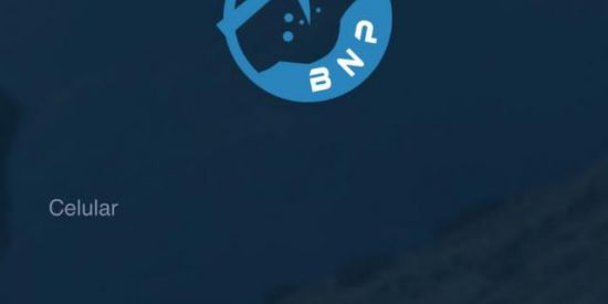 Imagem do grupo de WhatsApp Grupo de trabalho BNPMine