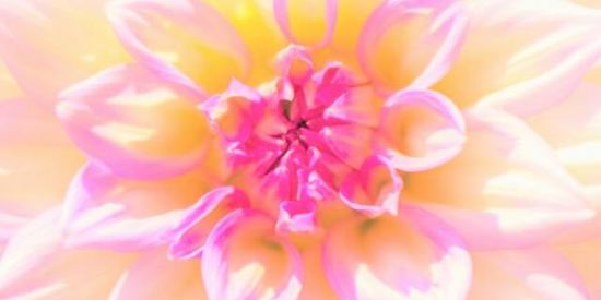 Imagem do grupo de WhatsApp Espiritualidade☀️