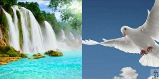 Imagem do grupo de WhatsApp Warriors of prayer🔥