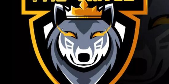 Imagem do grupo de WhatsApp THE.'.KINGS