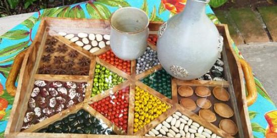 Imagem do grupo de WhatsApp Doações e trocas de sementes