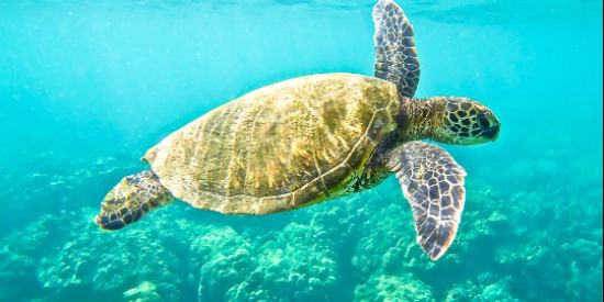 Imagem do grupo de WhatsApp Novinhos 😍