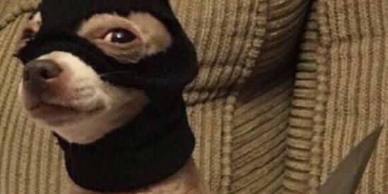 Imagem do grupo de WhatsApp Vai dar nomoro😙💞💗