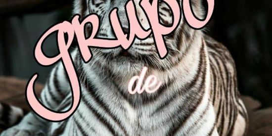 Imagem do grupo de WhatsApp ▫️recrutamento🦋