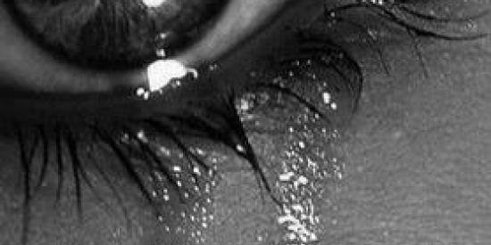 Imagem do grupo de WhatsApp †løvė†