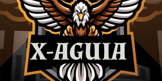 Imagem do grupo de WhatsApp X-AGUIA 🦅