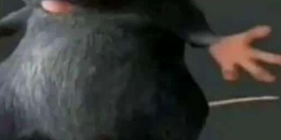 Imagem do grupo de WhatsApp Quase tudo permitido 😎👍🏻