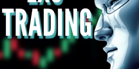 Imagem do grupo de WhatsApp EXO TRADING