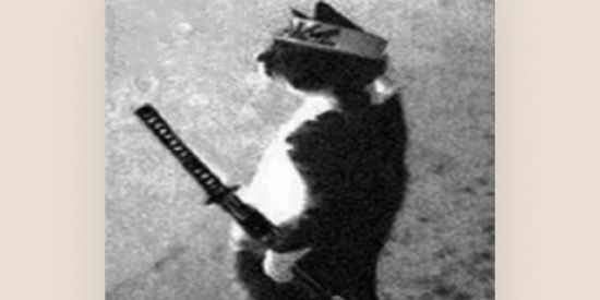 Imagem do grupo de WhatsApp ¯\_(ツ)_/¯