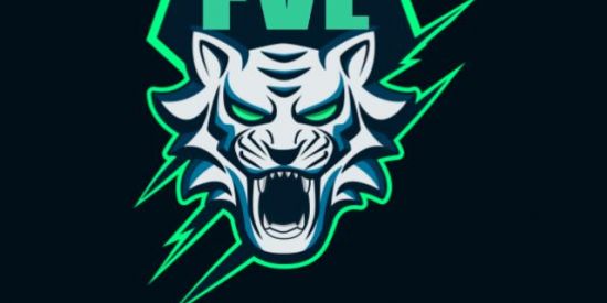 Imagem do grupo de WhatsApp FVL | Gaming