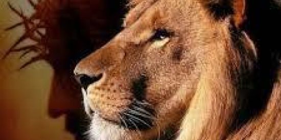 Imagem do grupo de WhatsApp Jovens cheios de Deus✋🏻🤚🏻✡️