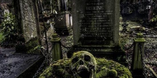 Imagem do grupo de WhatsApp 🔱 COVIL➗VAMPIRISMO🔱