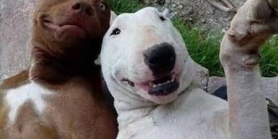 Imagem do grupo de WhatsApp VAI DA NAMORO