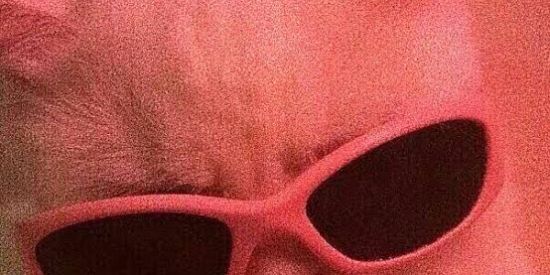 Imagem do grupo de WhatsApp Amizades