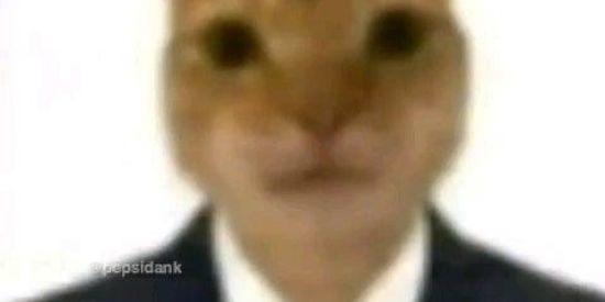 Imagem do grupo de WhatsApp 🫐ČÅBÅŘƏ🥃