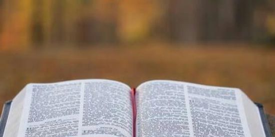 Imagem do grupo de WhatsApp ENSINAMENTOS BÍBLICOS 📚