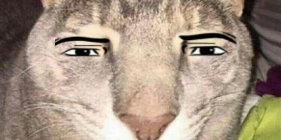 Imagem do grupo de WhatsApp FIGURINHAS E AMIZADES 🪀🤝