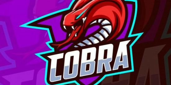 Imagem do grupo de WhatsApp 1️⃣EQP INSTAGRAM 🐍