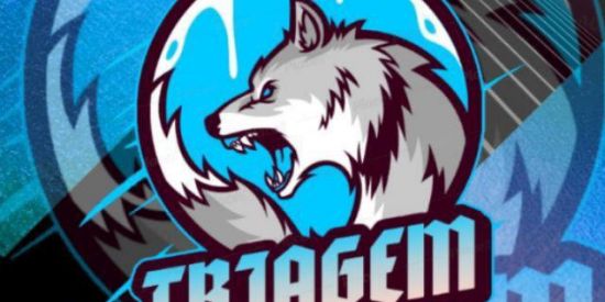 Imagem do grupo de WhatsApp 🐺|•TRIAGEM PJL•|🐺