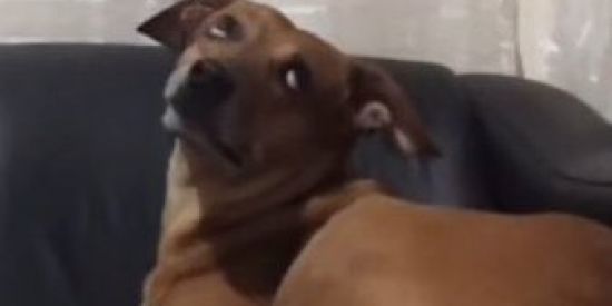 Imagem do grupo de WhatsApp webnamoro