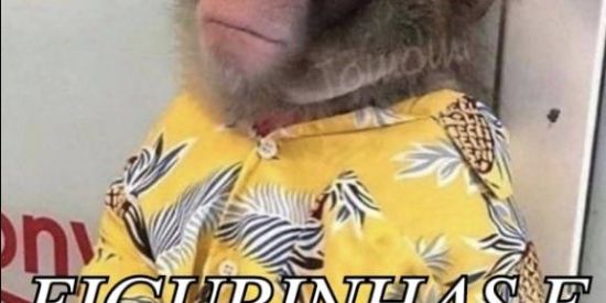 Imagem do grupo de WhatsApp FIGURINHAS E AMIZADES