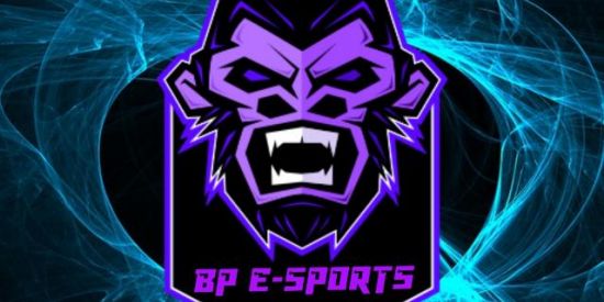 Imagem do grupo de WhatsApp BPﾠE-SPORTS