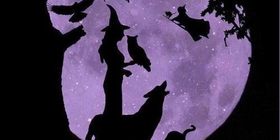 Imagem do grupo de WhatsApp 𝙀𝙨𝙩𝙪𝙙𝙤/𝙋𝘽𝙄🦋