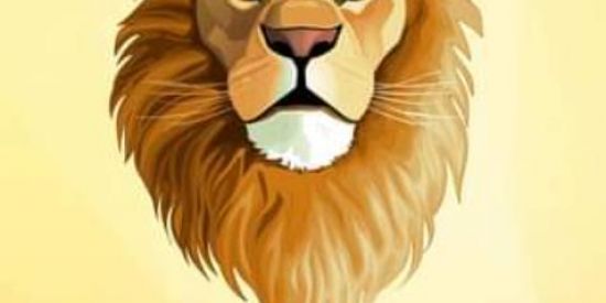 Imagem do grupo de WhatsApp Verdadeiros adoradores