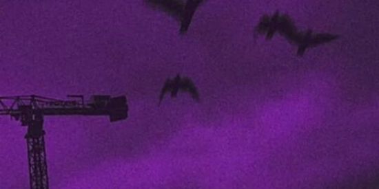 Imagem do grupo de WhatsApp Amizades Da Web - 2.0