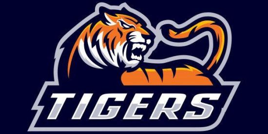 Imagem do grupo de WhatsApp 🐯ᏢᎡϴᎫᎬͲϴ ͲᏆᏀᎬᎡՏ¹🐯