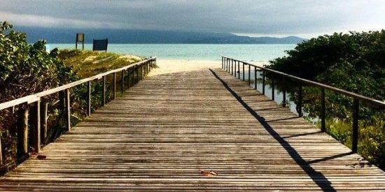 Imagem do grupo de WhatsApp Amizades - SC 🍃