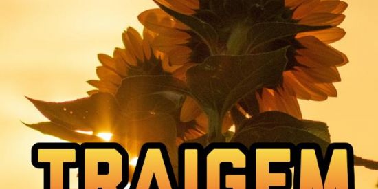 Imagem do grupo de WhatsApp TRIAGEM EQP BEAR 🐻🌻