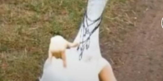 Imagem do grupo de WhatsApp Amizade e zoeira 💕